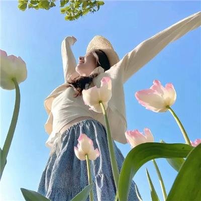 兰闺飞凤